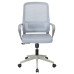 Кресло SLRC-11 (серый) Кресло SLRC-11 (серый)